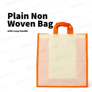 Plain Non Woven Bag with Loop Handle PRS11 (15"x18")
